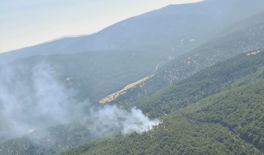 Sivaslı'nın yakın komşusu Çivril Belence'de orman yangını!