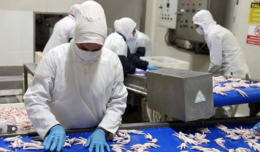 Uşak, Eşme, Ulubey, Alaşehir ve Güney'den çok sayıda kişiyi çalıştıran şirket, İngiltere ve AB'ye açılıyor