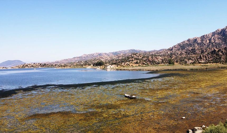 Menderes Nehri'nin suyu da Bafa'nın kurumasının önüne geçemedi!