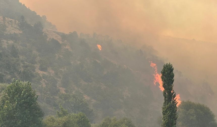 Uşak'ın Sivaslı ilçesindeki Ketenlik yangını nedeniyle köy boşaltıldı