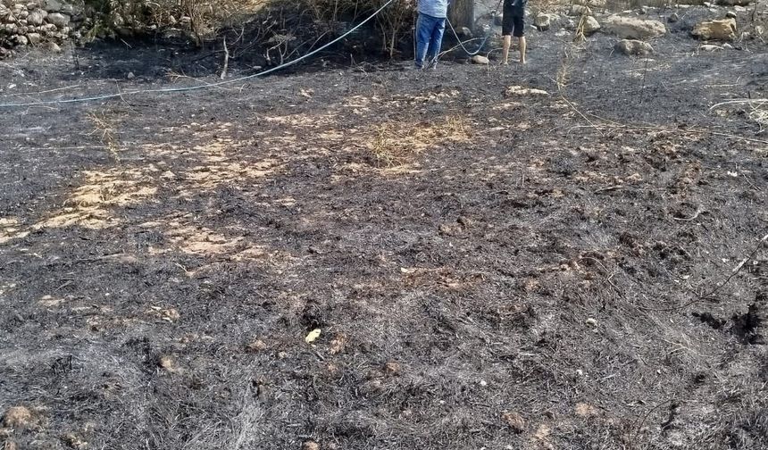 Selendi Şehirlioğlu'ndaki yangın vatandaşın çabasıyla söndürüldü