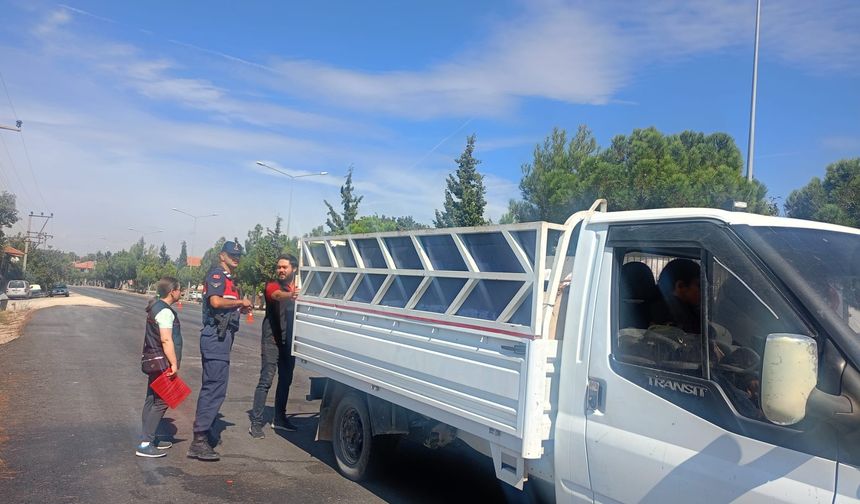 Uşak'ta şap alarmı devam ediyor!