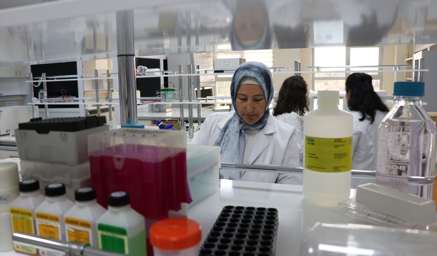 Kütahya Sağlık'ta eklem ağrıları için borla tedavi