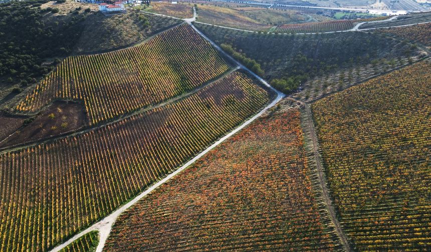 Uşak, Kütahya ve Manisa'yı besleyen Gediz Nehri'nin bölgeye hediyesi: Kula Yanık Ülke
