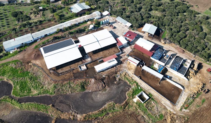 Mütevazı çiftliğini devlet destekleriyle modern süt üretim tesisine dönüştürdü