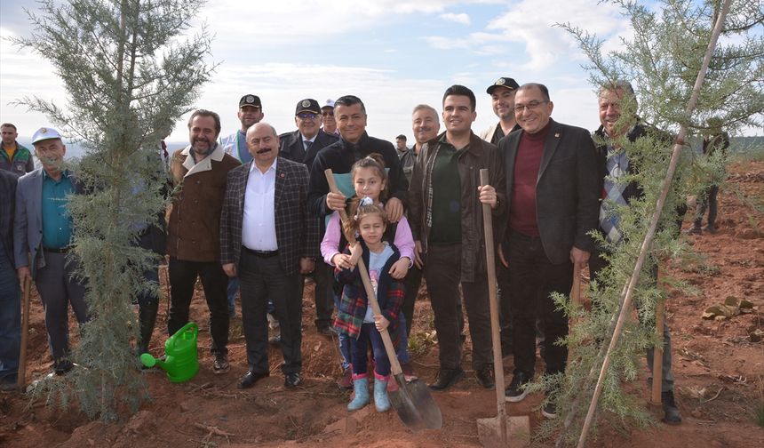 Banaz'da Milli Ağaçlandırma Günü'nde 11 bin fidan dikildi