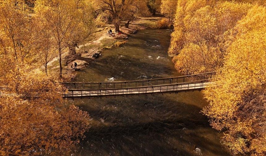VAN - İnci Kefali Tabiat Parkı sonbahar renklerine büründü
