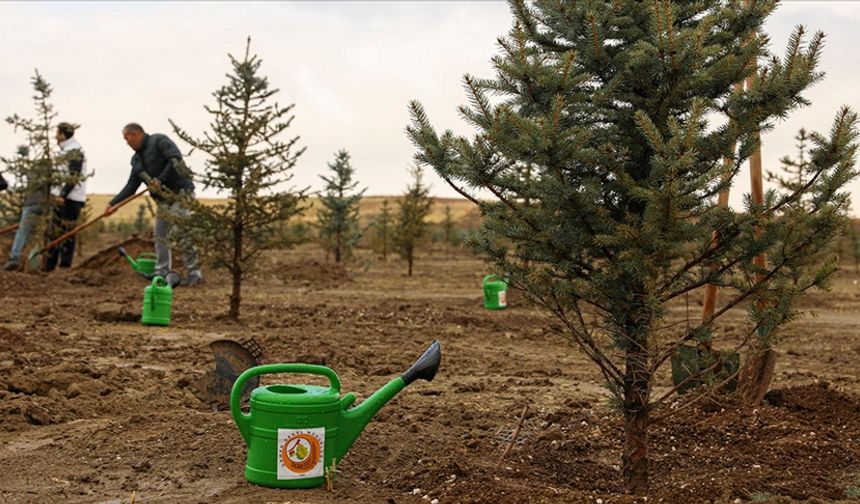 Uşak'ta Milli Ağaçlandırma Günü'nde fidan dikildi