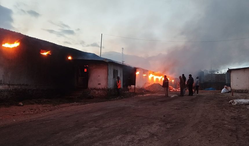 Uşak'taki tavuk çiftliği yandı!