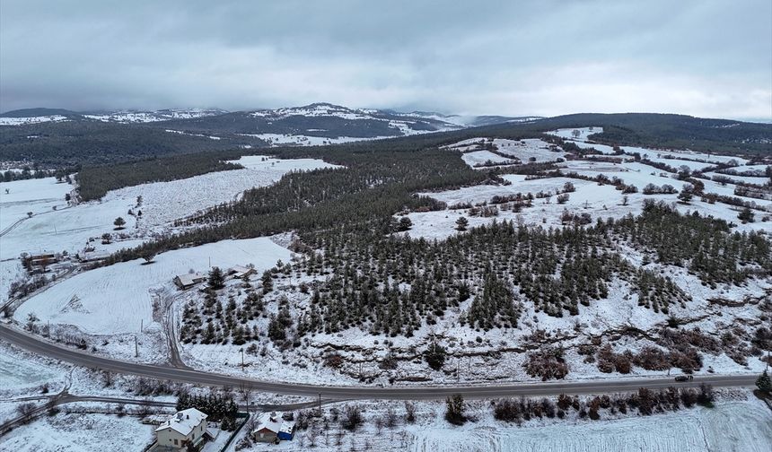 Uşak'ın yüksek kesimlerine kar yağdı! Yüksek noktalarda trafikte aksama olmadı!