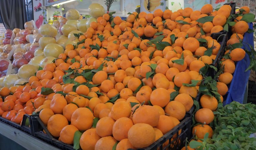 Iraklılar, İzmir'in mandalinasını seviyor!