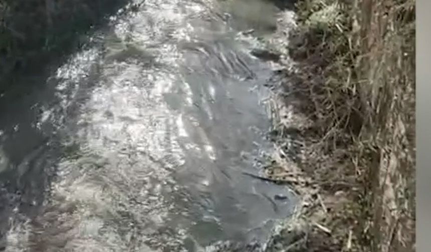 Uşak, Kütahya ve Manisa'nın yaşam kaynağı Gediz için 4 milyar TL ceza!