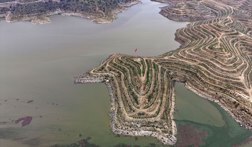 Uşak ve Kütahya'nın ortak değeri Gediz Nehri, bölgedeki barajları doldurmaya başladı