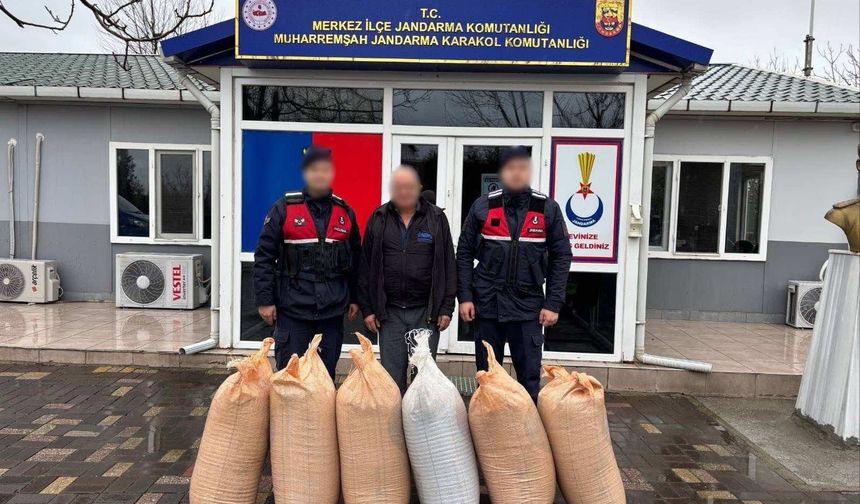 Uşak'taki çörekotu hırsızlığı çözüldü!