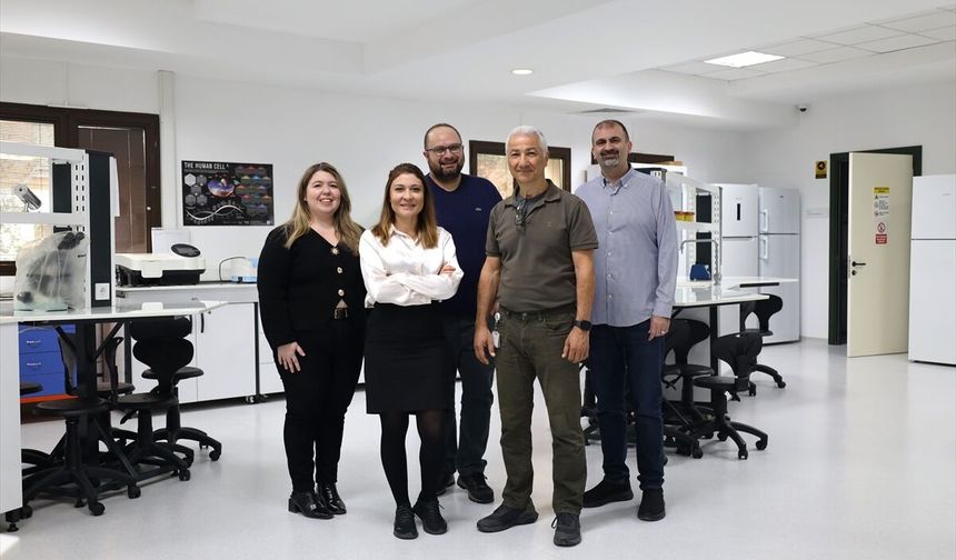 Kemik erimesi olanlara umut veren çalışma