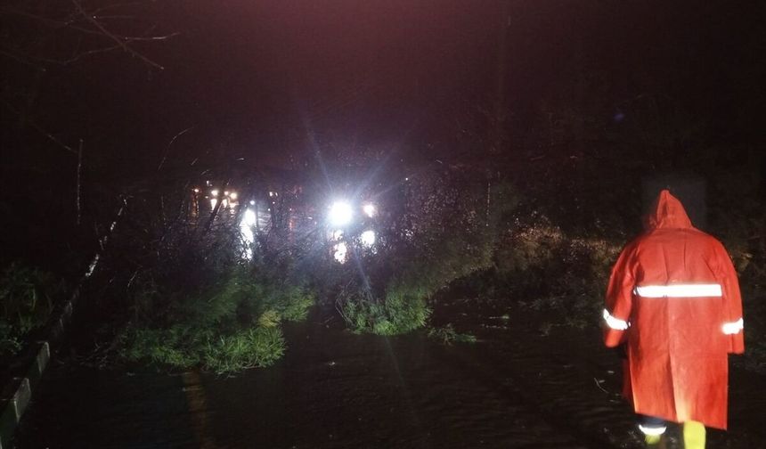 Sağanak yağış Salihli'yi olumsuz etkiledi