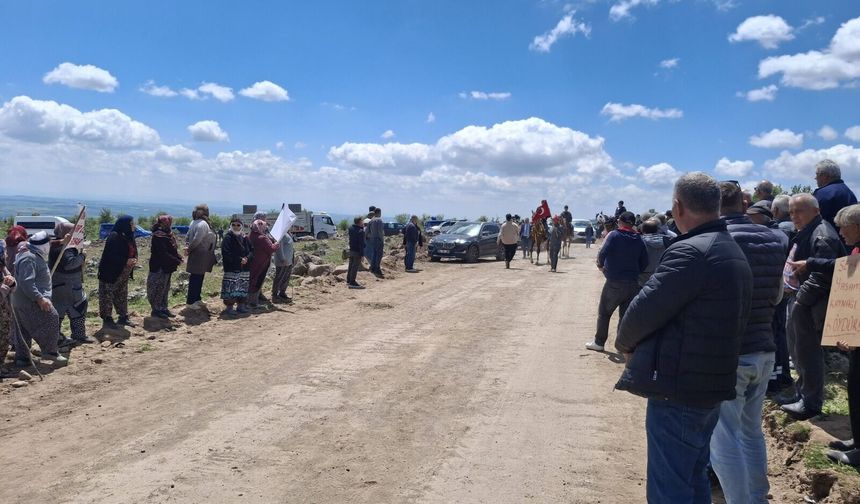 Uşak'taki yılkı atları yok olmasın diye bilirkişi incelemesine bu şekilde katıldılar