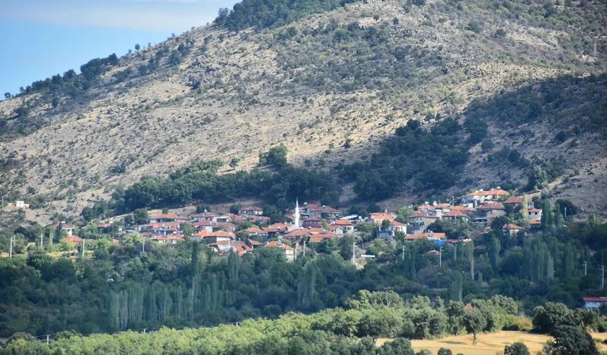 Uşak'ta hayvanlarını korumak isteyen köylü için inceleme yapan yetkililer, aykırı durumları tespit etti