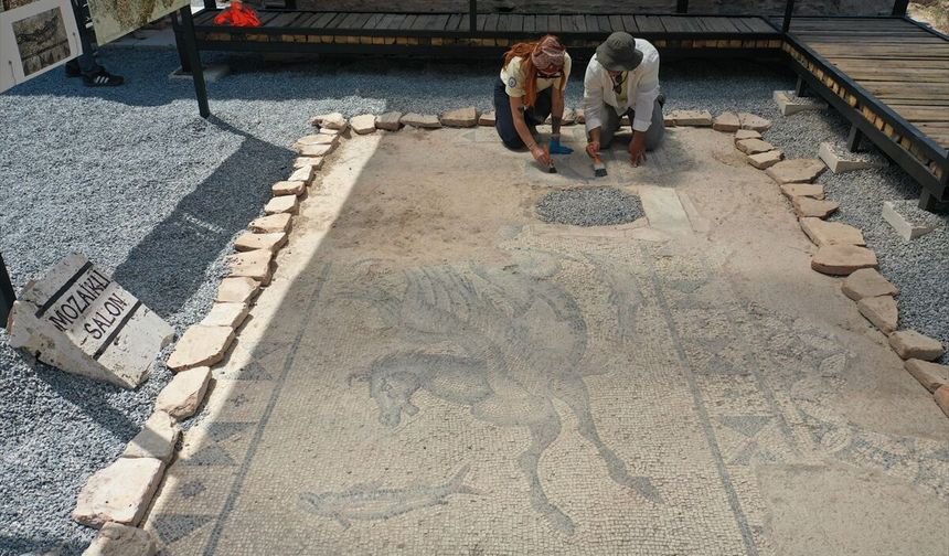 Efeler'deki Trallies'te Roma dönemi Poseidon'un kutsal hayvanı hippokampos figürlü mozaikli salon bulundu