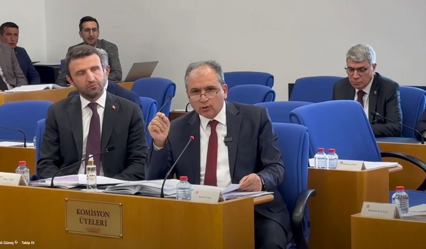 Erhan Usta'nın Uşak Milletvekili İsmail Güneş'in üzerine yürümesinin sebebi