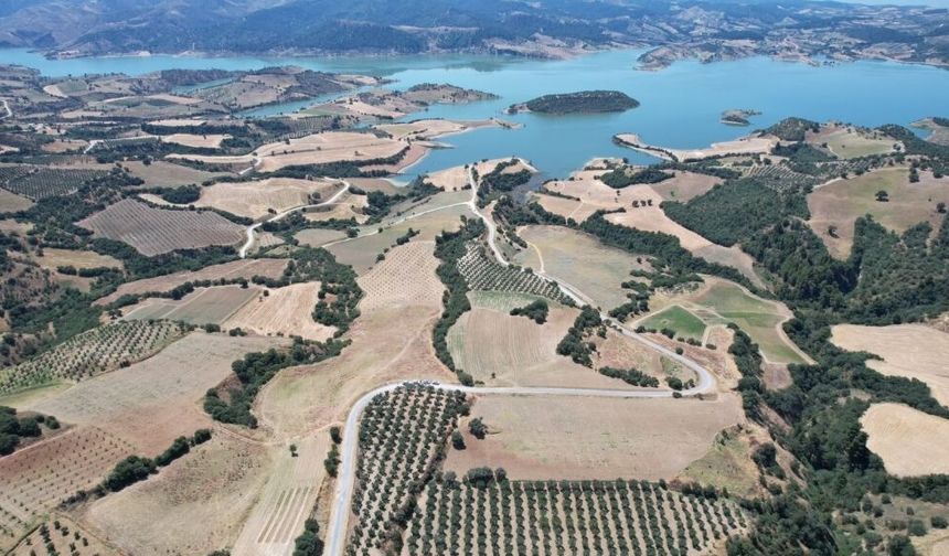 Gördes Barajı'nın çevresinde arıcılığı geliştirmek için bal ormanı oluşturuluyor