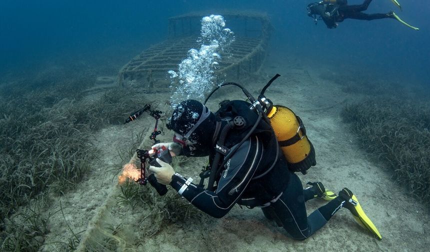 Seferihisar'ın Sığacık, Balıkçı, Teos ve diğer koyları dalmak için harika noktalar
