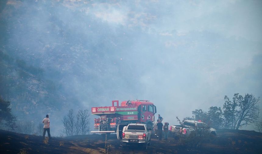 Uşak Eşme Kayalı köyünde orman yangını