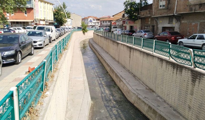 Uşak'ta kötü kokuya neden olan Dokuzsele deresinde temizlik