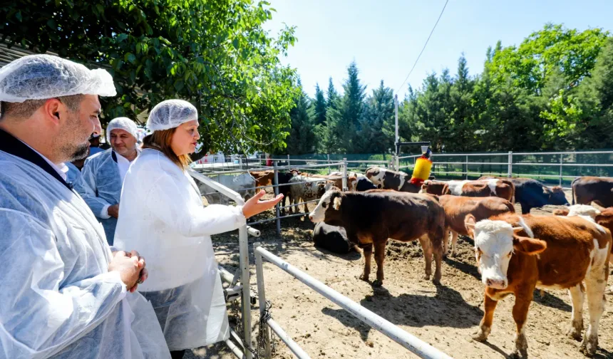 Afyon'da vatandaşa ucuz ve kaliteli gıda için çiftlik kuruldu