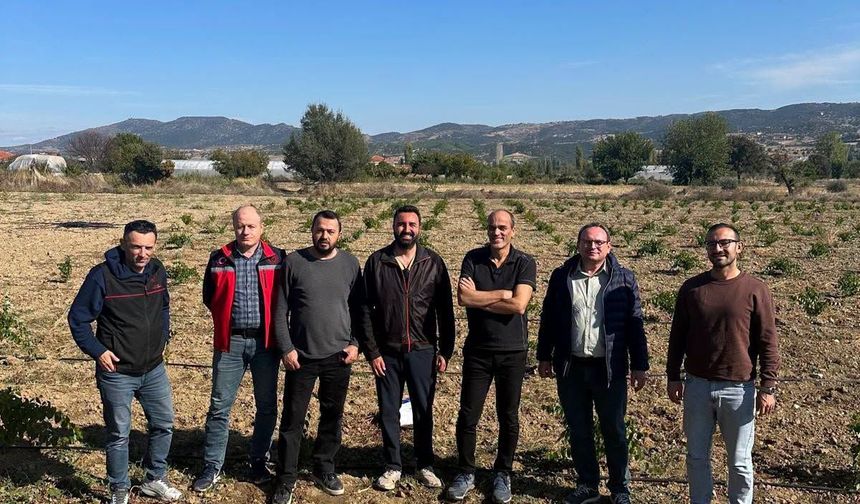 Bir dönemin bağ kenti Uşak'ta bağcılık yeniden hayat buluyor