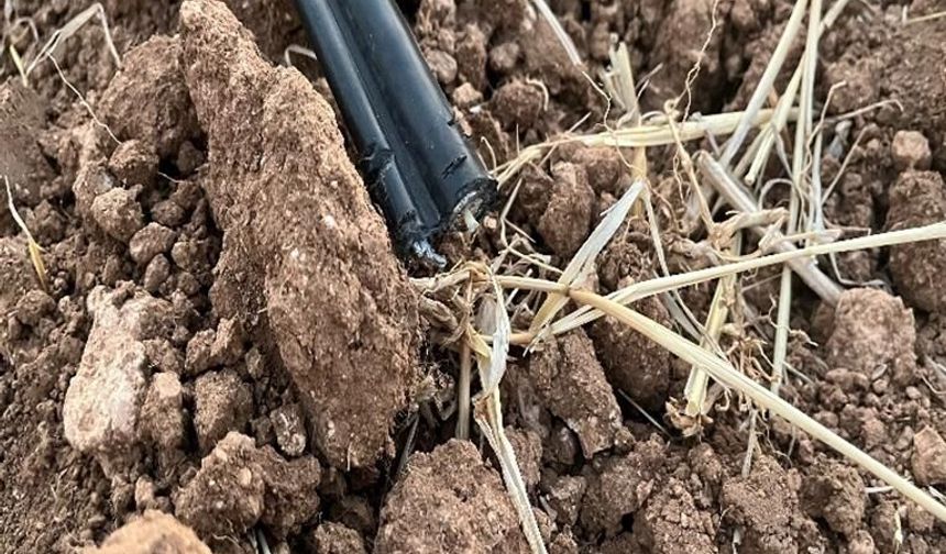 Ağaçbeyli ve Tatar arasındaki 150 metre fiber kabloyu çalanlar yakalandı