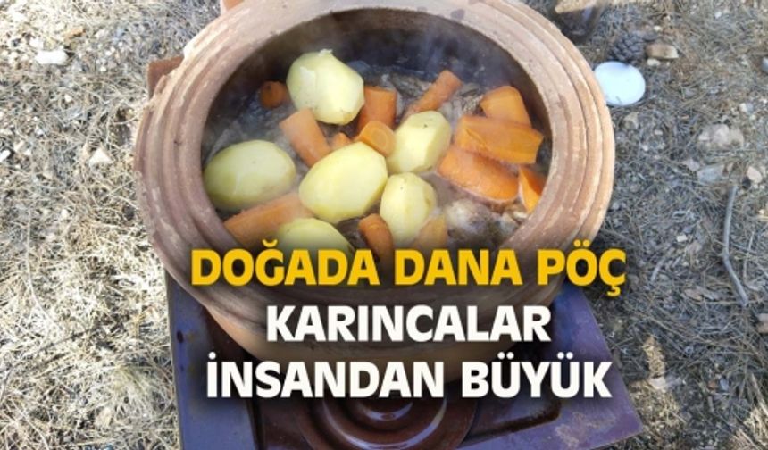 Uşak'ın Karaağaç Çamlığında doğada dana kuyruk kebabı yapımı