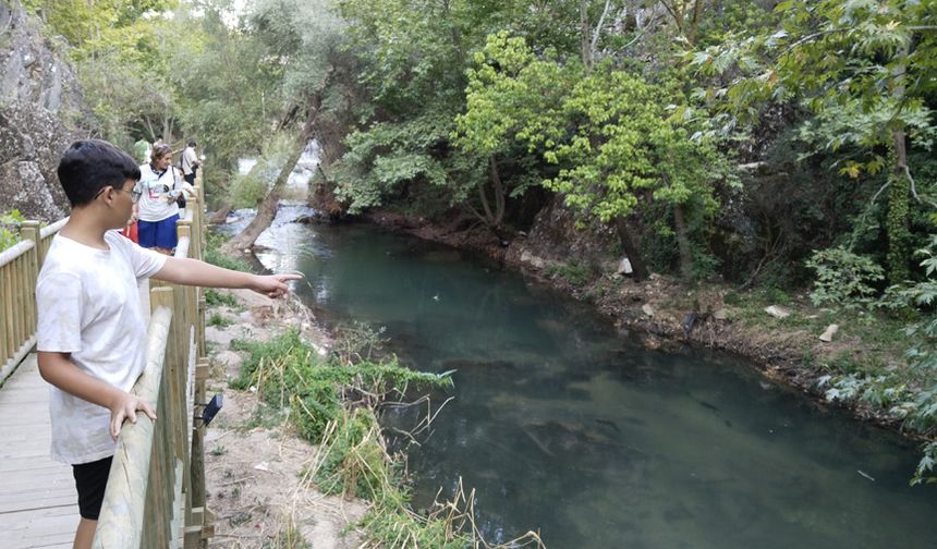 Karahallı Kaymakamlığı tarafından, hazırlanan “Doğa, Tarih Bir Arada; Karahallı’da” projesi kapsamında, geçtiğimiz yıl inşaatı tamamlanan ahşap yürüyüş yolu, Clandras antik su kemeri, Pepouza antik kenti ve Antik Kaya Manastırı arasında bağ kurdu.
DEVAMI İÇİN EKRANI KAYDIRIN