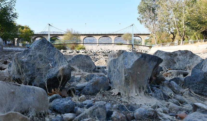 Uşak, Denizli, Manisa ve İzmir gibi Ege illeri kurudu