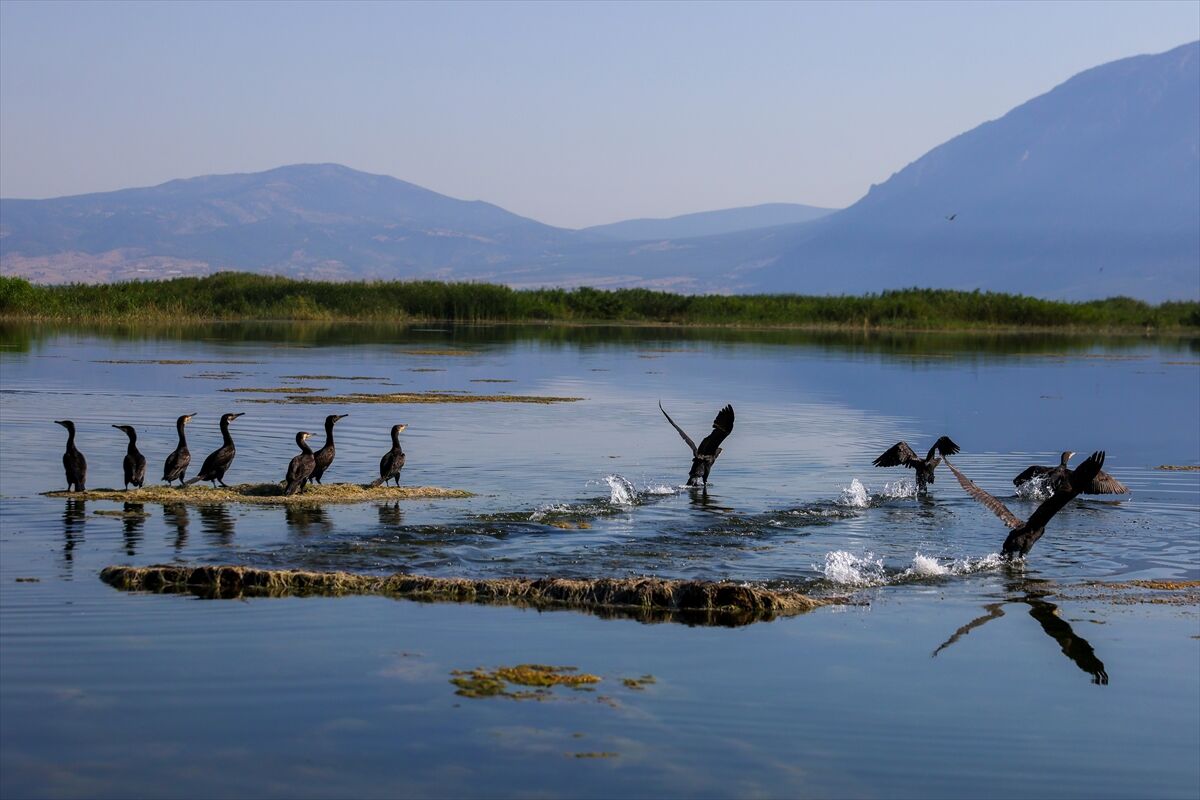 Uşak'tan yoğun ilgi gösterilen Çivril'deki Işıklı Gölün güzelliği
