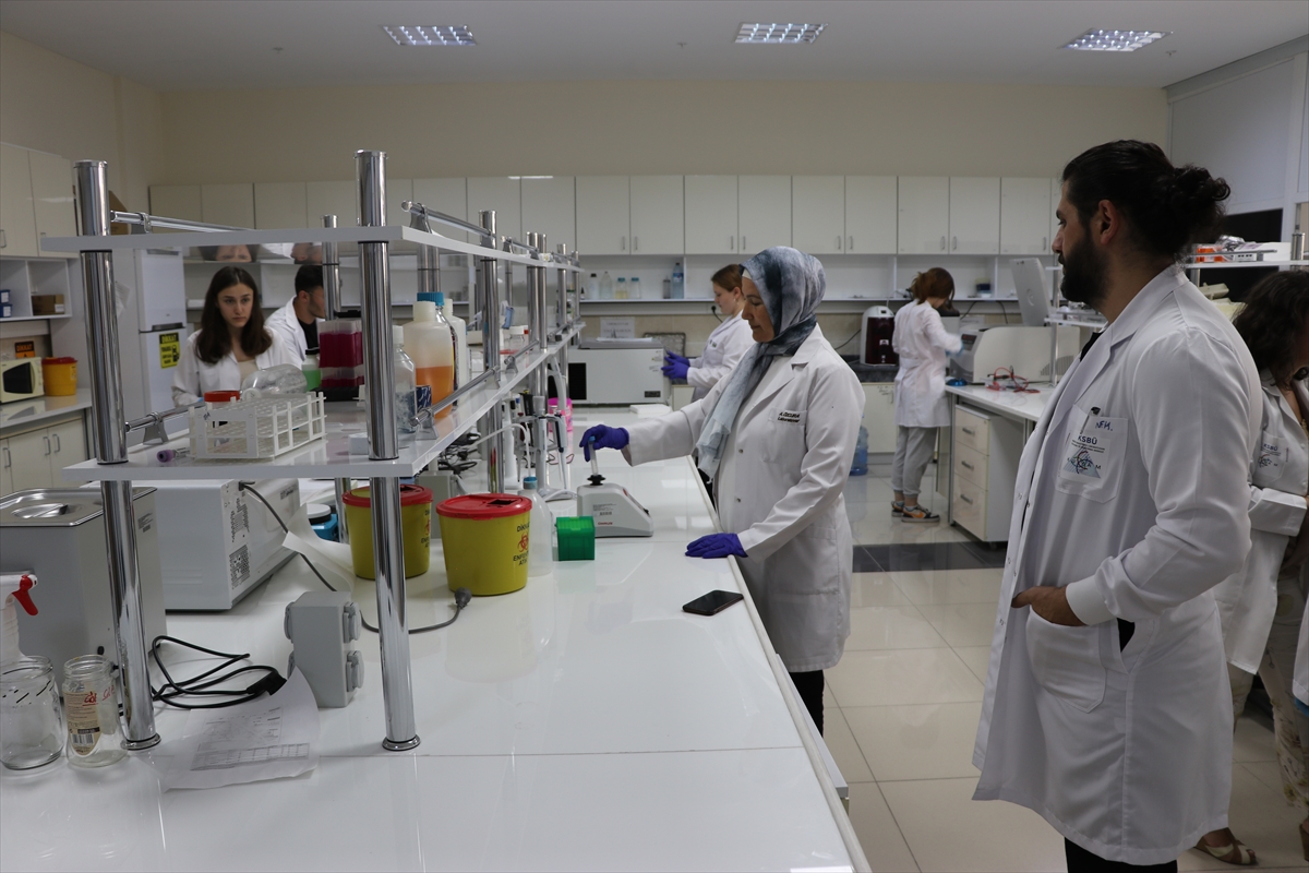 A A 20251104 39609257 39609252 E K L E M V E K I K I R D A K H A S T A L I K L A R I N I N T E D A V I S I I C I N B O R M I N E R A L L I U R U N G E L I S T I R I L D I