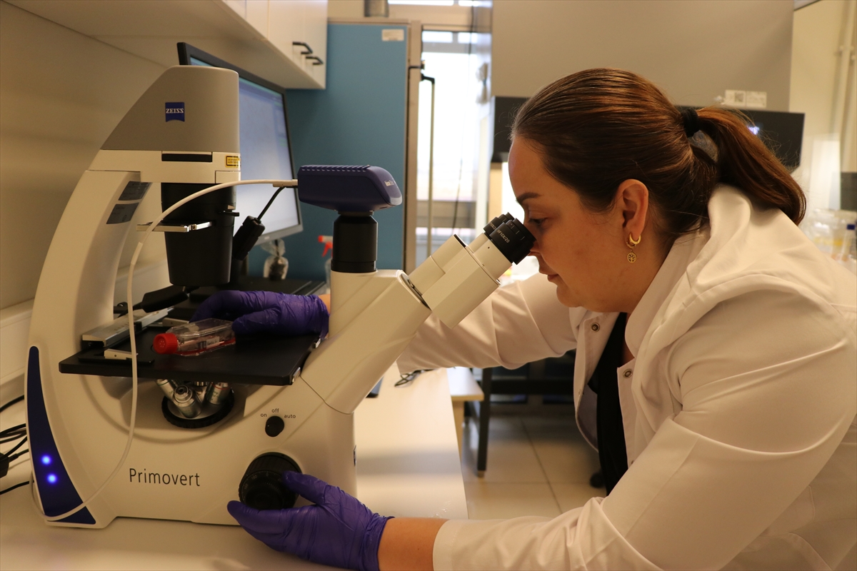 A A 20251104 39609257 39609255 E K L E M V E K I K I R D A K H A S T A L I K L A R I N I N T E D A V I S I I C I N B O R M I N E R A L L I U R U N G E L I S T I R I L D I