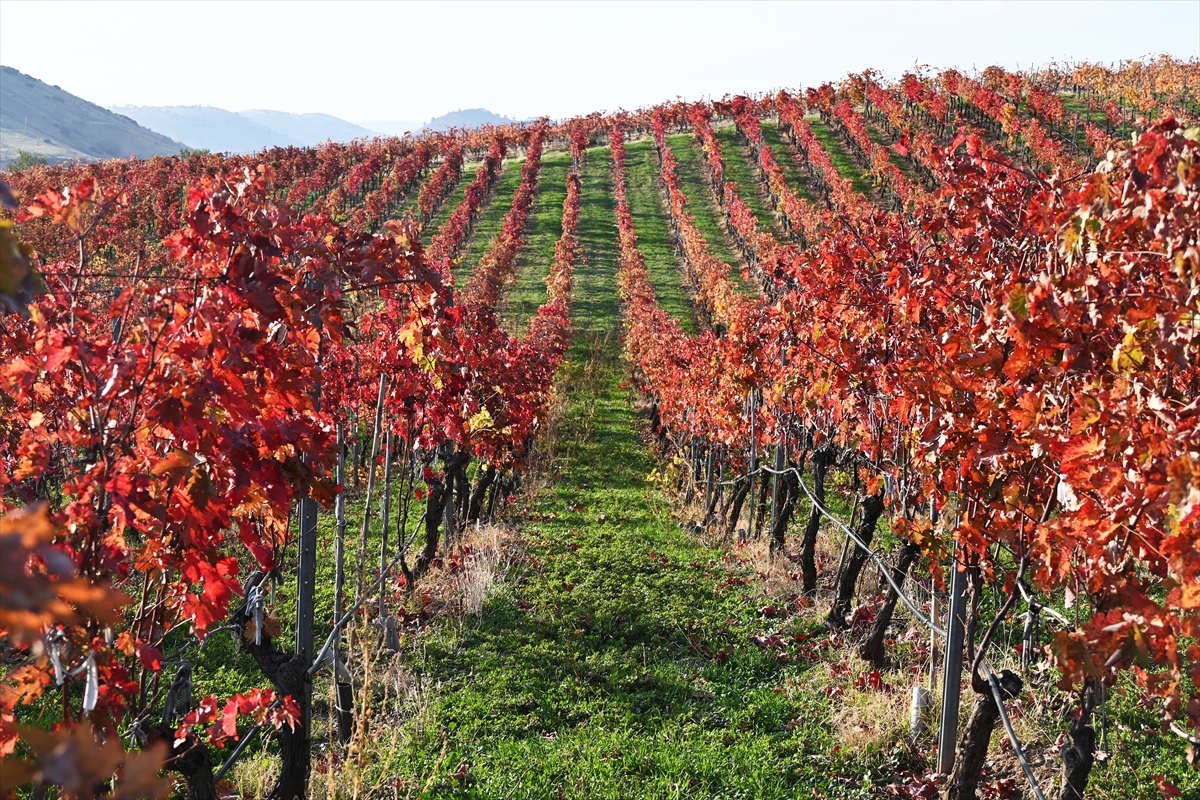 A A 20251108 39648723 39648720 Y A N I K U L K E D E S O N B A H A R R E N K L E R I