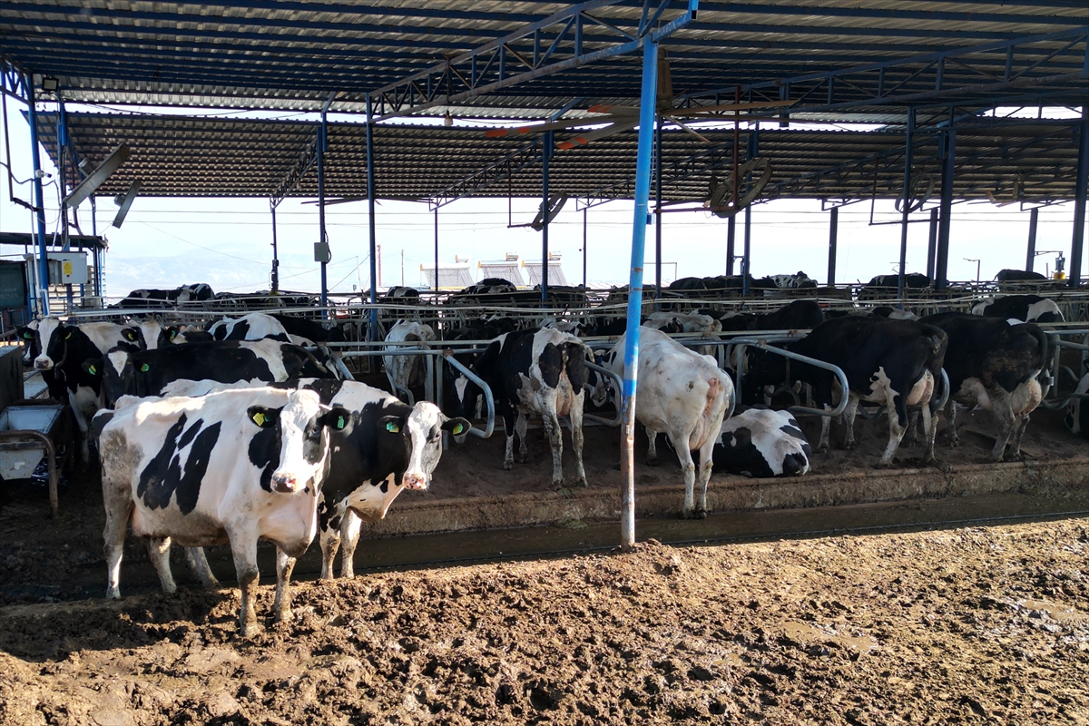 A A 20251111 39676475 39676469 M U T E V A Z I C I F T L I G I N I D E V L E T D E S T E K L E R I Y L E M O D E R N S U T U R E T I M T E S I S I N E D O N U S T U R D U