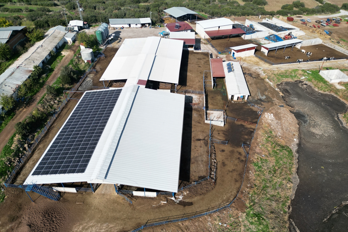 A A 20251111 39676475 39676470 M U T E V A Z I C I F T L I G I N I D E V L E T D E S T E K L E R I Y L E M O D E R N S U T U R E T I M T E S I S I N E D O N U S T U R D U