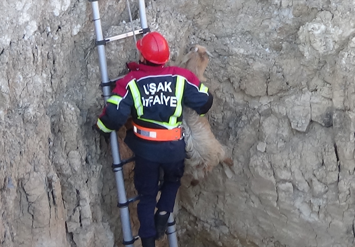 A A 20251115 39713868 39713866 U S A K T A K U Y U Y A D U S E N K E C I Y I I T F A I Y E K U R T A R D I