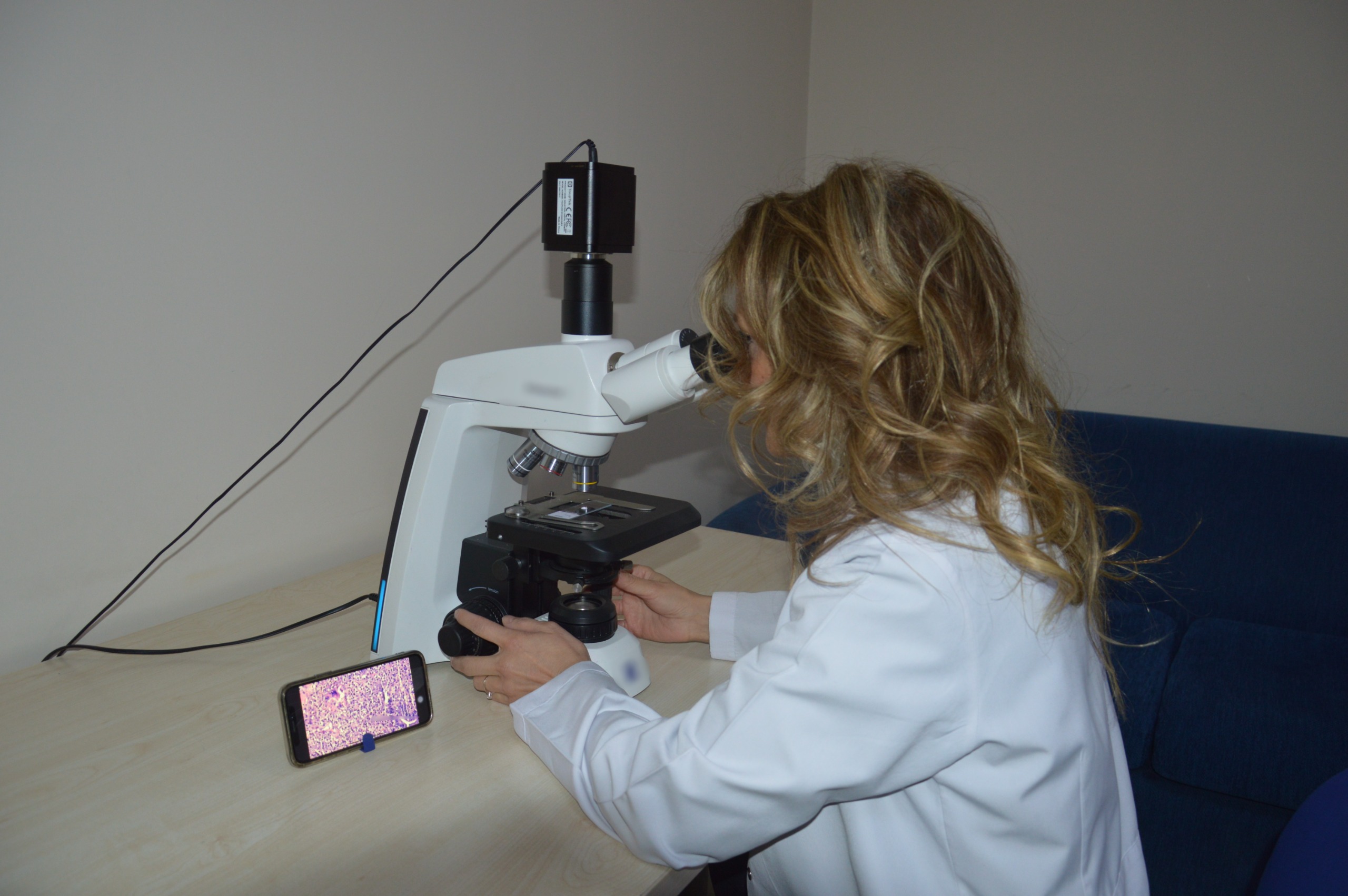 755950Ed 093D 427E B686 158234B59437