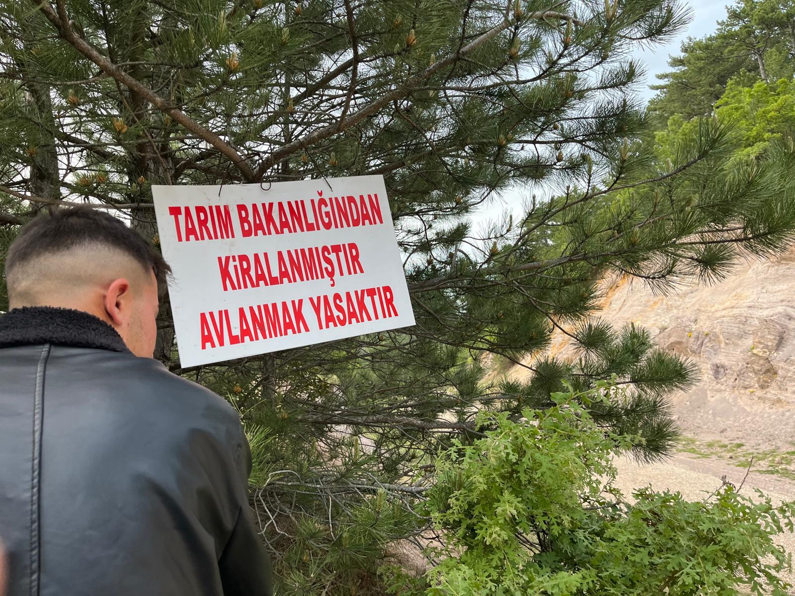 9Ba28235 B5E9 442C 93Ad Ab68E6588146