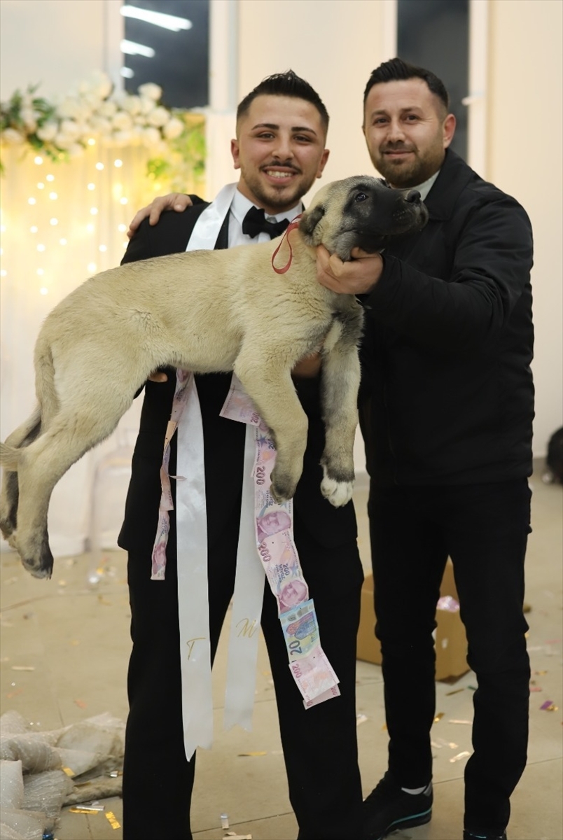 A A 20251211 39957746 39957745 D E N I Z L I D E D U G U N D E G E L I N V E D A M A D A T A K I Y E R I N E C O B A N K O P E G I H E D I Y E E D I L D I