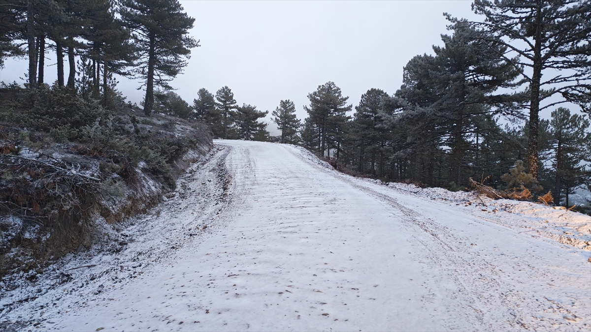 A A 20251227 40090126 40090124 M A N I S A D A S E Z O N U N I L K K A R Y A G I S I E T K I L I O L D U