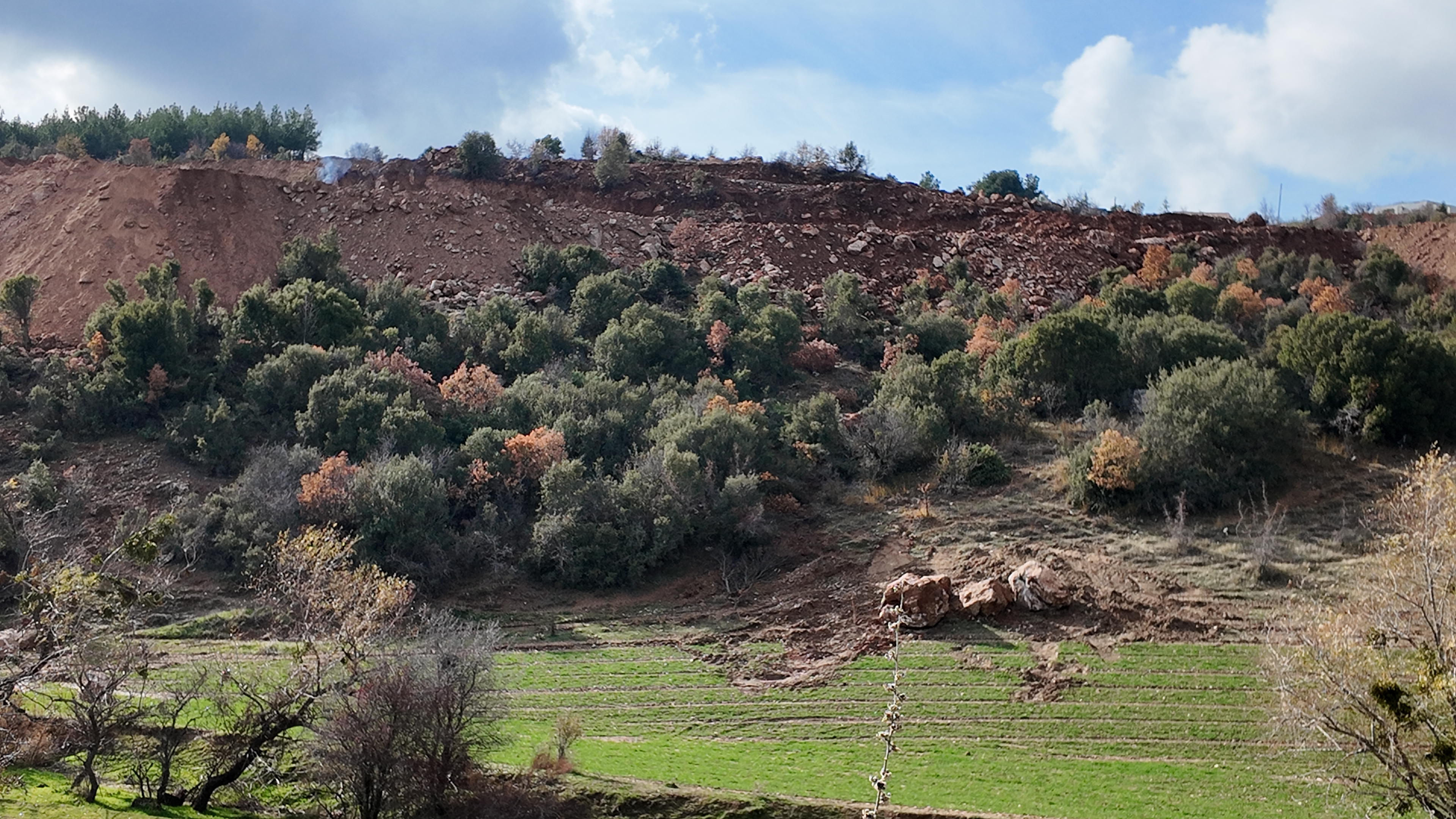 Toki Temel Dikilitaş (1)