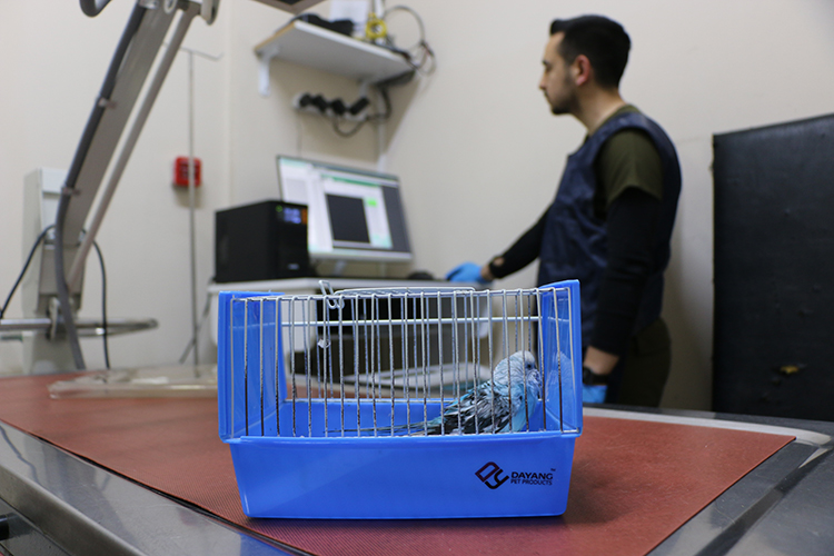 006 2026 12 Ocak 31 Ocak 16 20260102 2 72316366 120763322