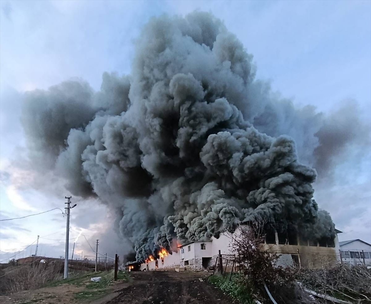 A A 20260103 40152431 40152428 U S A K T A T A V U K C I F T L I G I N D E C I K A N Y A N G I N H A S A R A N E D E N O L D U