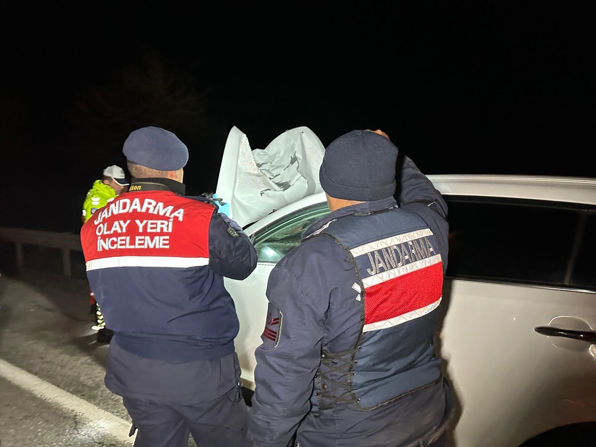 A A 20260124 40357602 40357599 U S A K T A C I P I N C A R P T I G I Y A Y A O L D U