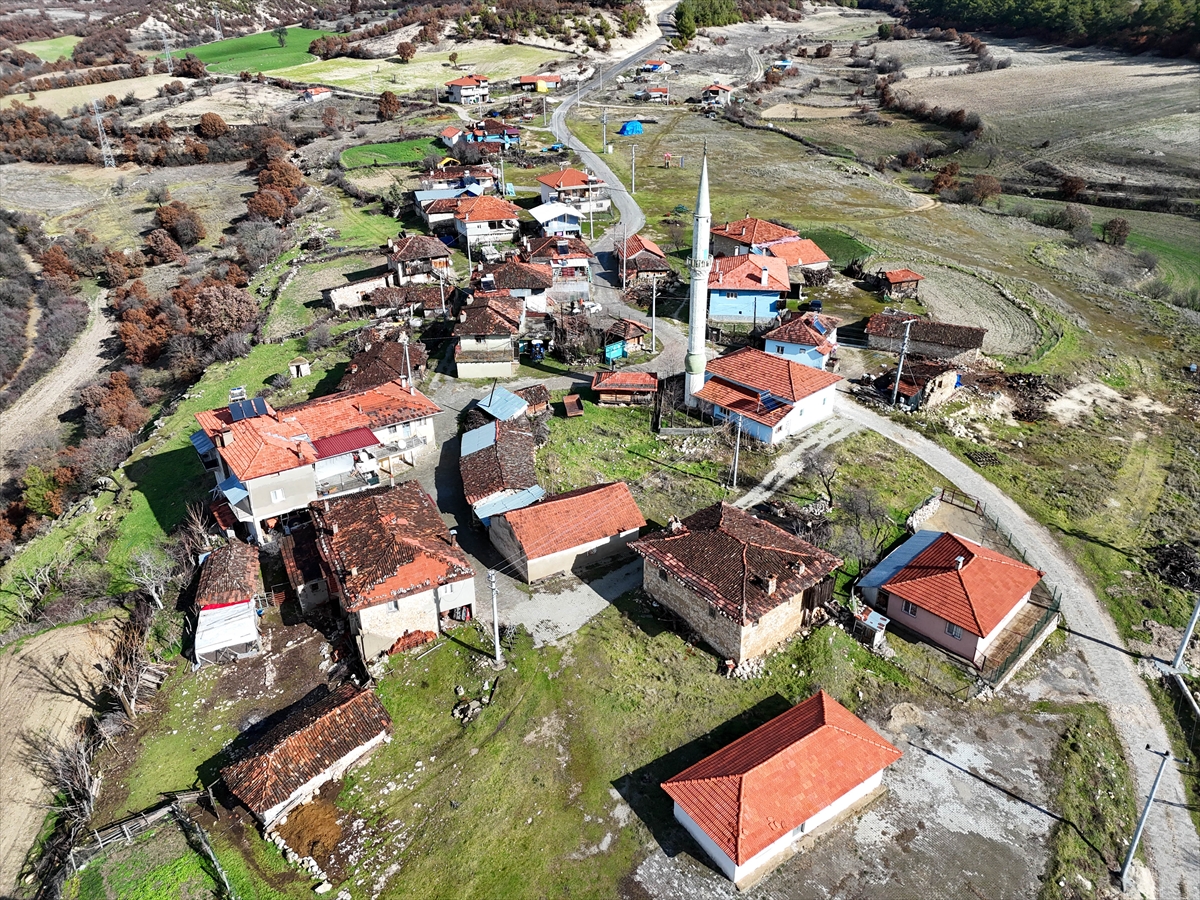 A A 20260130 40408230 40408226 T U R K I Y E D E K O Y S A Y I S I 18 B I N 215 O L A R A K K A Y I T L A R A G E C T I